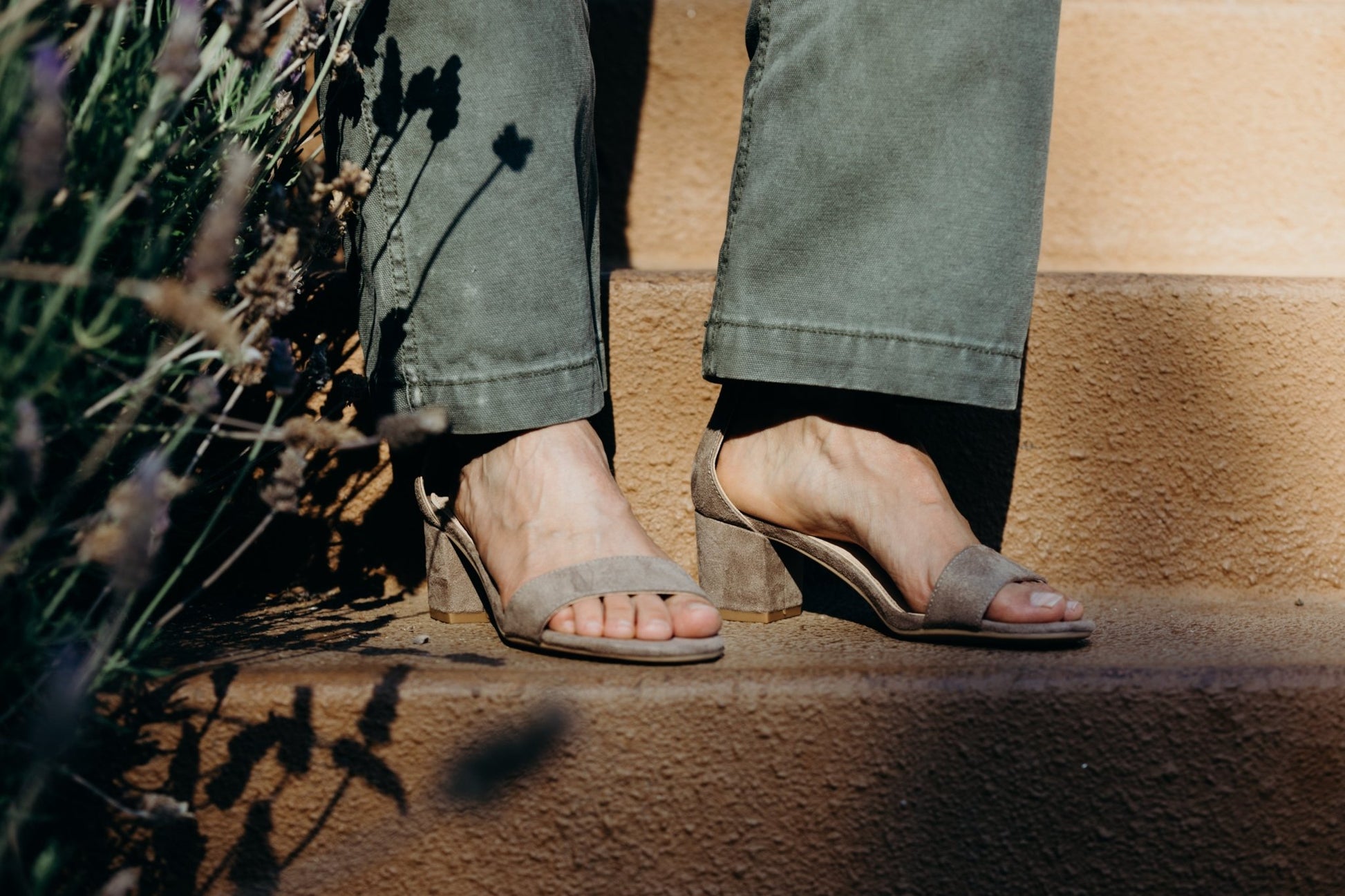 Shop Daisy by J.Adams