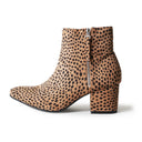 zuma-cheetah