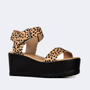 Surf | Cheetah