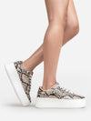 Hero | Brown Python