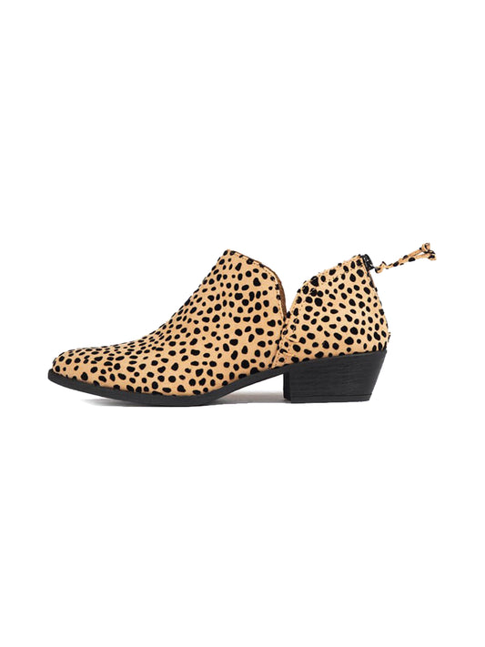 Levi | Cheetah