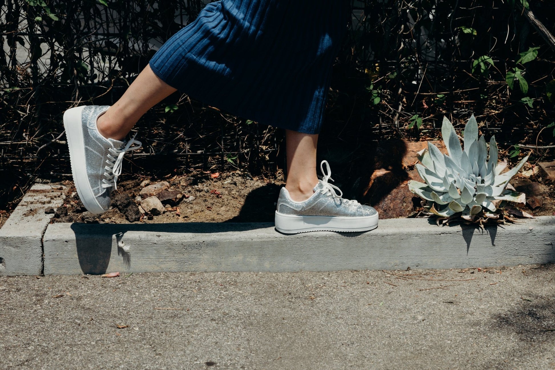 Shop Hero by J.Adams