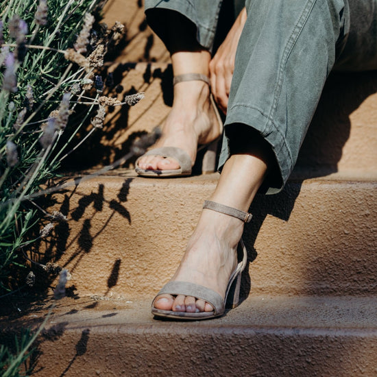 Shop Daisy by J.Adams