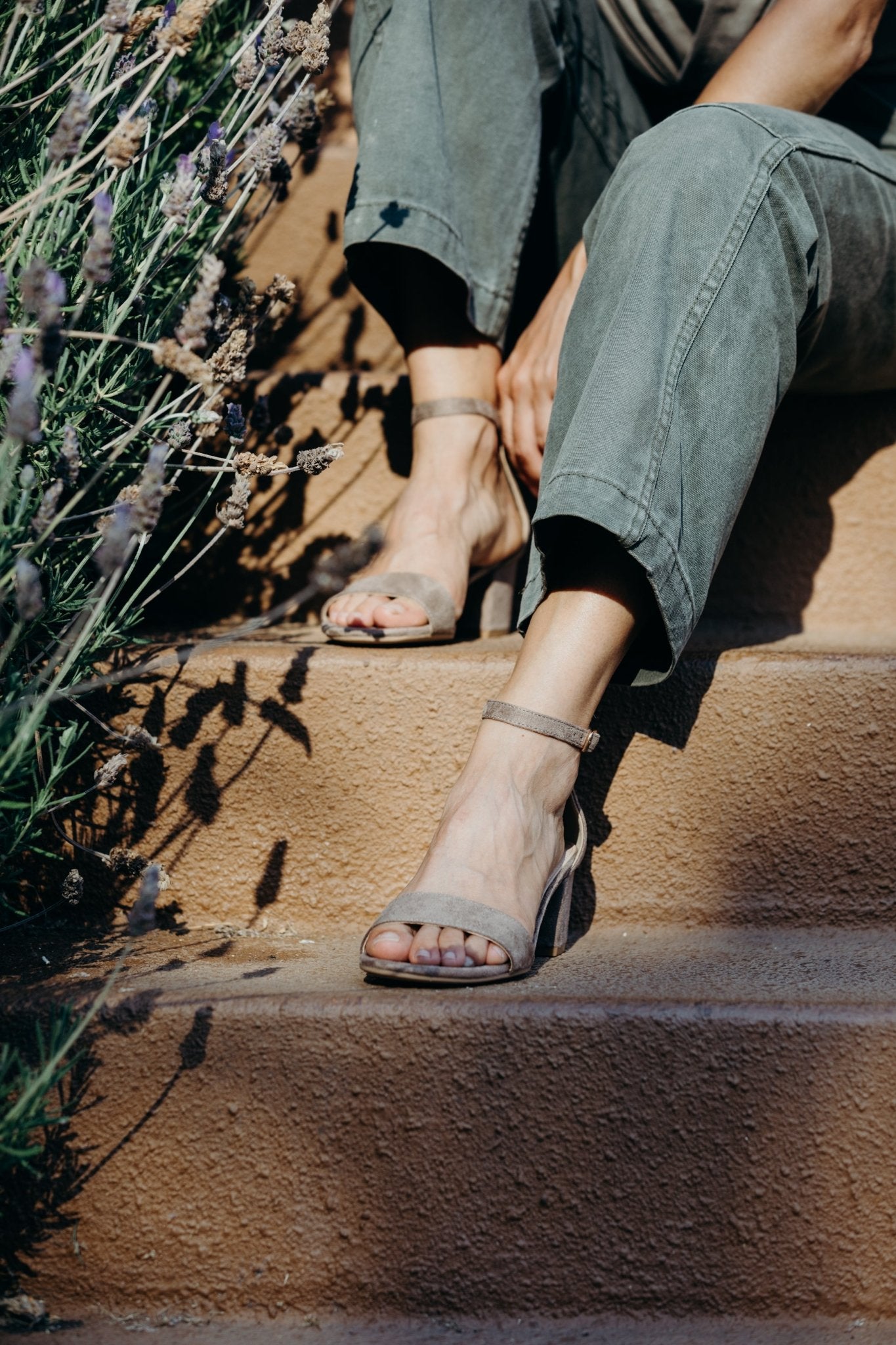 Shop Daisy by J.Adams