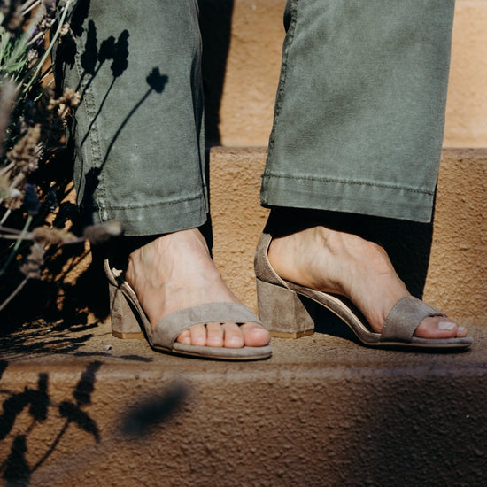 Shop Daisy by J.Adams