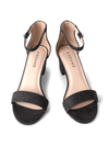 Shop Daisy by J.Adams
