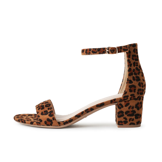 Shop Daisy by J.Adams