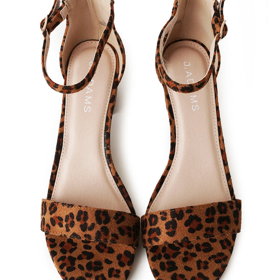 Shop Daisy by J.Adams