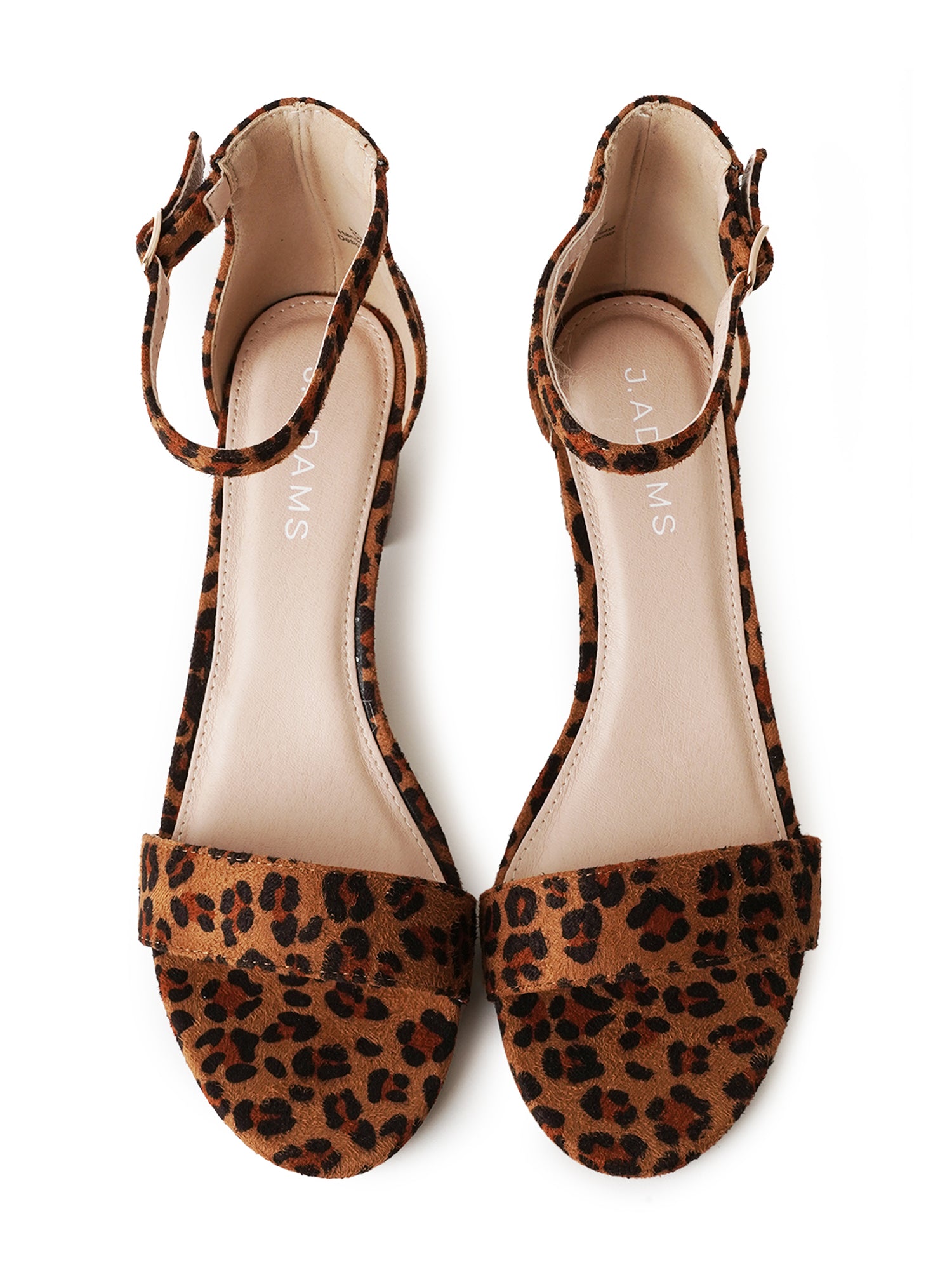 Shop Daisy by J.Adams