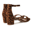 daisy-leopard
