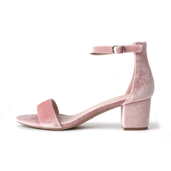 Shop Daisy by J.Adams