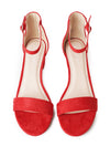 Shop Daisy by J.Adams