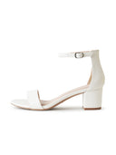 Shop Daisy by J.Adams
