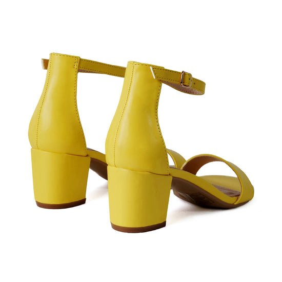 Shop Daisy by J.Adams