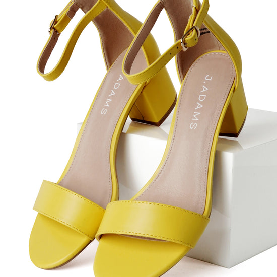 Shop Daisy by J.Adams