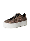 Hero | Cheetah