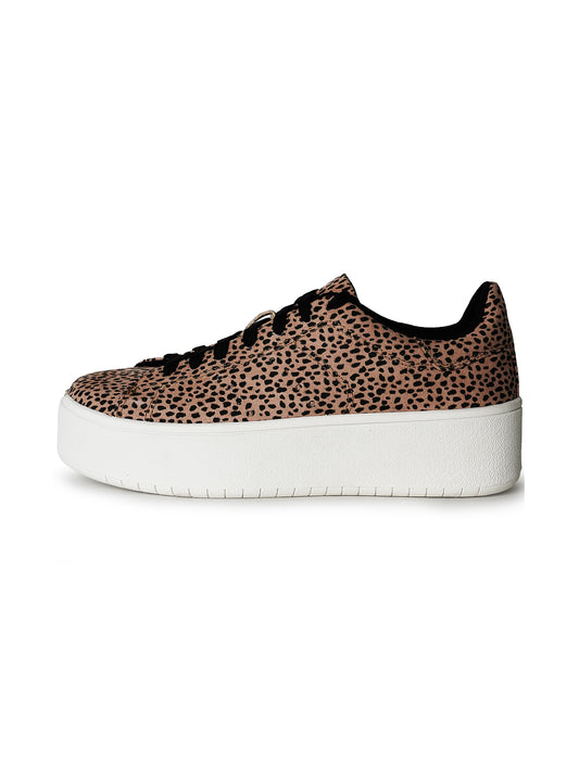 Hero | Cheetah