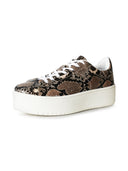 Hero | Brown Python