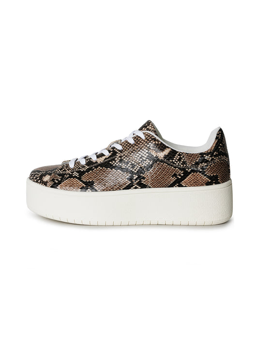 Hero | Brown Python