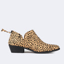 levi-cheetah