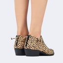 Levi | Cheetah