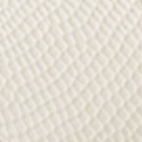Cream Lizard