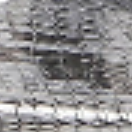 Silver/Black Snake