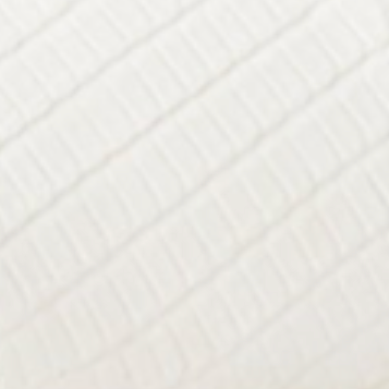 White Lizard