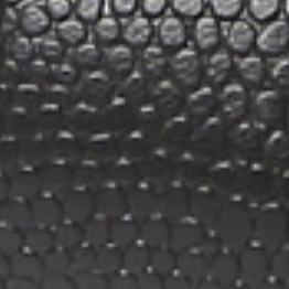 Black Lizard