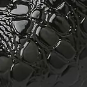 Black Crocodile