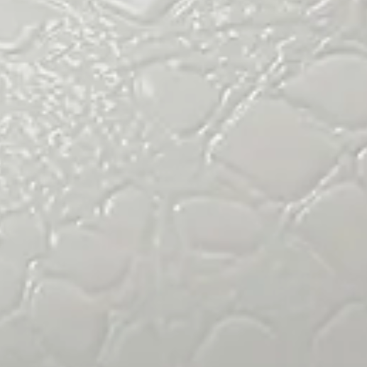 White Crocodile